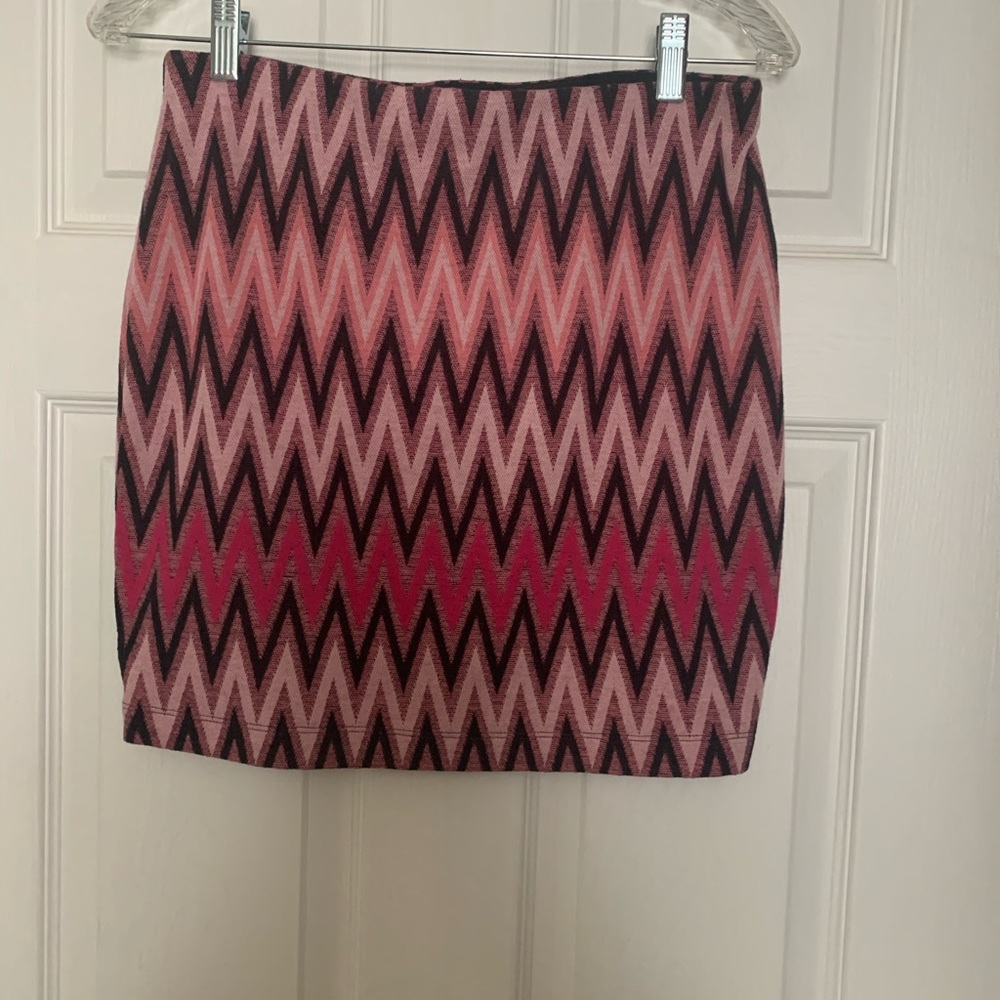 NWT Express Skirt